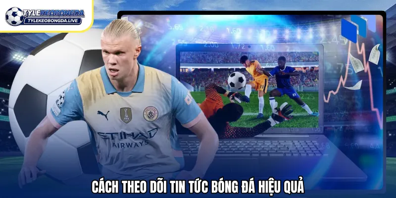 Cách theo dõi tin tức bóng đá hiệu quả
