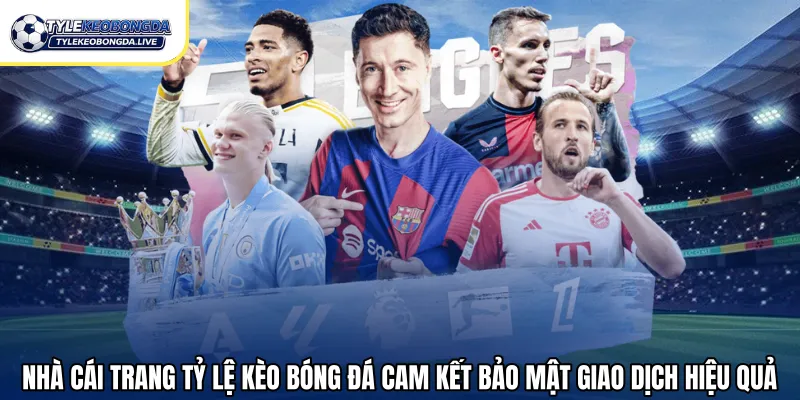 Nhà cái trang tỷ lệ kèo bóng đá cam kết bảo mật giao dịch hiệu quả